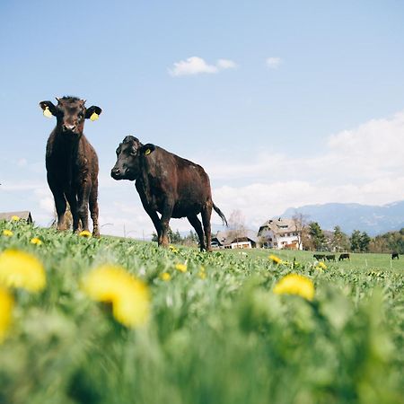 Alpin Farm Birke - Oberweidacherhof Collalbo Exterior foto